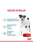 Starter Mousse Anne ve Yavruları İçin Köpek Konservesi 195 Gr - 6