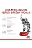 Kitten Sterilised Kısırlaştırılmış Yavru Kedi Maması 2kg thumbnail 6