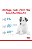 Baby Dog Milk Yavru Köpekler Için Süt Ikame Maması 400g - 2