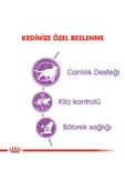 Sterilised Kısırlaştırılmış 7 Yaş Ve Üzeri Kediler Için Kuru Kedi Maması 1.5kg thumbnail 5
