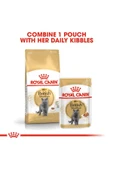 British Shorthair için Yaş Kedi Maması 12 x 85g thumbnail 7