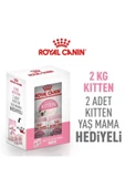 Box Kitten Yavru Kedi Maması 2 Kg + 2 Adet Kitten Yaş Mama Hediyeli thumbnail 2