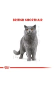 British Shorthair Adult Kedi Kuru Maması 2 Kg thumbnail 8