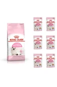 Kitten (yavru Kedi Maması) 4 Kg. + 6 Adet (kitten) Yaş Mama - 1