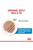 Starter Mousse Anne ve Yavruları İçin Köpek Konservesi 195 Gr - 5