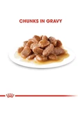 Instinctive Gravy Pouch Yaş Kedi Maması 85 gr x 12 Adet thumbnail 5