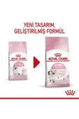 Kitten Yavru Kediler için Kuru Kedi Maması 2kg thumbnail 2