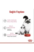 Mother Baby Cat 195 Gr X 12 Adet - 3