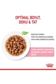 Kitten Gravy Pouch 85 G x 12 Adet - 2