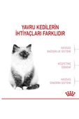 Kitten Yavru Kediler için Kuru Kedi Maması 2kg thumbnail 5