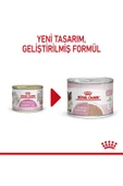 Mother&babycat Gebe/laktasyondaki Anne Ve Yavru Kedi Için Kedi Konservesi 195g - 5