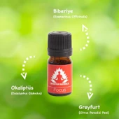 Therapium Naturalis Focus Karışım Uçucu Yağı 5 ml thumbnail 2