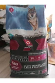 Pro Performance Kuzu Etli Yavru Köpek Maması 12 Kg - 1