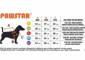 Pawstar Mint Sydney Peluşlu Su Geçirmez Küçük Irk Köpek Yağmurluğu - 6