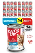 Cats Up Yaş Yetişkin Kedi Maması Somonlu 415gr 24Lü - 1