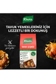 Knorr Tavuk Çeşnisi 60 Gr - 3