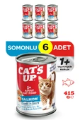 Cats Up Yaş Yetişkin Kedi Maması Somonlu 415gr 6Lı - 1