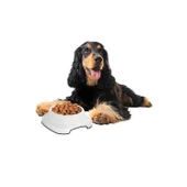 Buffer® Silikon Kaydırmaz Taban Plastik Kedi Ve Köpek Mama Ve Su Kabı 2 L - 6