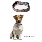 Buffer® Yumuşak Dokulu Deri Köpek Gezdirme Boyun Tasması Medium - 3