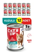 Cats Up Yaş Yetişkin Kedi Maması Kuzu Etli 415gr 12Li - 1