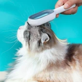 Buffer® Evcil Hayvanlar İçin Çift Taraflı Pet Fırçası Nemli Tüy Tarama Tarağı - 3