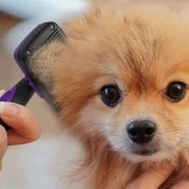 Buffer® Otomatik Temizlenebilen Tuşlu Pratik Kedi Köpek Tüy Toplama Fırçası - 14