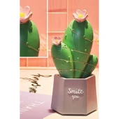 Buffer® Led Işıklı Kaktüs Biblo Ev Dekorasyon Ve Hediyelik Eşya Led Aydınlatma thumbnail 7