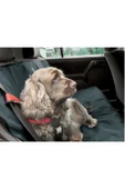 Unikum Araç Oto Araba Arka Koltuk Kedi Köpek Kılıfı Örtüsü Havuzu - 6
