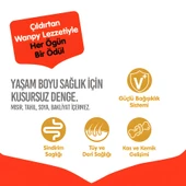 Wanpy Tavuklu Tahılsız Yetişkin Köpek Maması 1,5kg - 3
