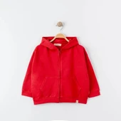 Unisex %100 Pamuk Oversize Kapüşonlu Fermuarlı Sweatshirt - 6