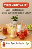 6 Adet Premium Cam Bardak Cam Pipet Hediyeli– Soğuk Kahve, Limonata ve Soda Sunumlar 500 ml - 1