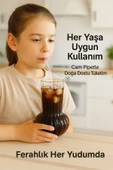 6 Adet Premium Cam Bardak Cam Pipet Hediyeli– Soğuk Kahve, Limonata ve Soda Sunumlar 500 ml - 3