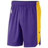 Nike Los Angeles Lakers NBA Practice 18 Erkek Mor Basketbol Şortu AJ5077-504 thumbnail 3