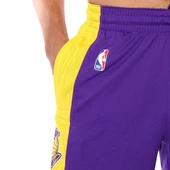 Nike Los Angeles Lakers NBA Practice 18 Erkek Mor Basketbol Şortu AJ5077-504 thumbnail 2