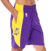 Nike Los Angeles Lakers NBA Practice 18 Erkek Mor Basketbol Şortu AJ5077-504 thumbnail 1