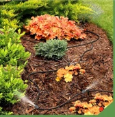 Sepetinegelsin 10 Metre Bağ Bahçe Damla Sulama Borusu Spreyleme Hortum Seti thumbnail 2