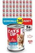 Cats Up Yaş Yetişkin Kedi Maması Somonlu 415gr 36Lı thumbnail 1