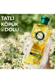 Herbal Essences Şampuan Parlak Pürüzsüz Papatya 350 ml thumbnail 7