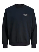 JPRBLACHAD BRANDING SWEAT CREW NECK LN Black Beauty Black Beauty S thumbnail 2