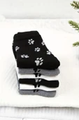 Hitit Socks Unisex 3 Çift Premium Kalite Pati Desenli Soket Çorap Çok Renkli - 2
