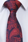 Esgue Hand Made 7.5 cm Kırmızı Lacivert Damla Desen Mendilli Kravat thumbnail 3