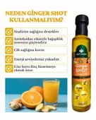 Ginger Shot - Vitamin B2, Vitamin B6, C Vitamini, Zencefil ve Zerdeçal İçeren Şurup - 2