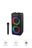 1973 Kablosuz Mikrofonlu Radyo / USB / Hafiza Kartli RGB Ledli Taşınabilir Bluetooth Hoparlör Parti Speaker - 1
