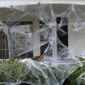 Parti Sürprizi Hallowen Cadılar Bayramı Beyaz Renk Örümcek Ağı - 1