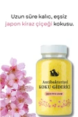 KorPet Kedi köpek koku giderici japon kiraz çiçeği 350ml - 2