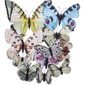 Parti Sürprizi Karışık Renkli Kelebek Dekor Süs Mıknatıs ve Stickerli 12 Adet thumbnail 1