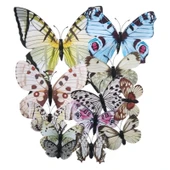 Parti Sürprizi Karışık Renkli Kelebek Dekor Süs Mıknatıs ve Stickerli 12 Adet thumbnail 2