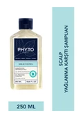 Phyto OIL CONTROL SHAMP 250ML - 1