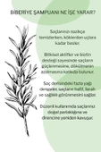 Biberiye Şampuanı | Saç Dökülmesine Karşı | Biotin, Keratin ve Kolajen İçerikli 250 ml - 4