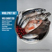 Orijen Six Fish Balıklı Yetişkin Kedi Maması 1,8 Kg thumbnail 3